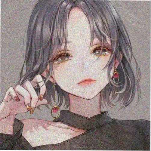 观众头像 拾荒的猫